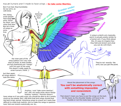 A terrific fuck-ton of basic winged human references. To see the text on the longer images, you gott