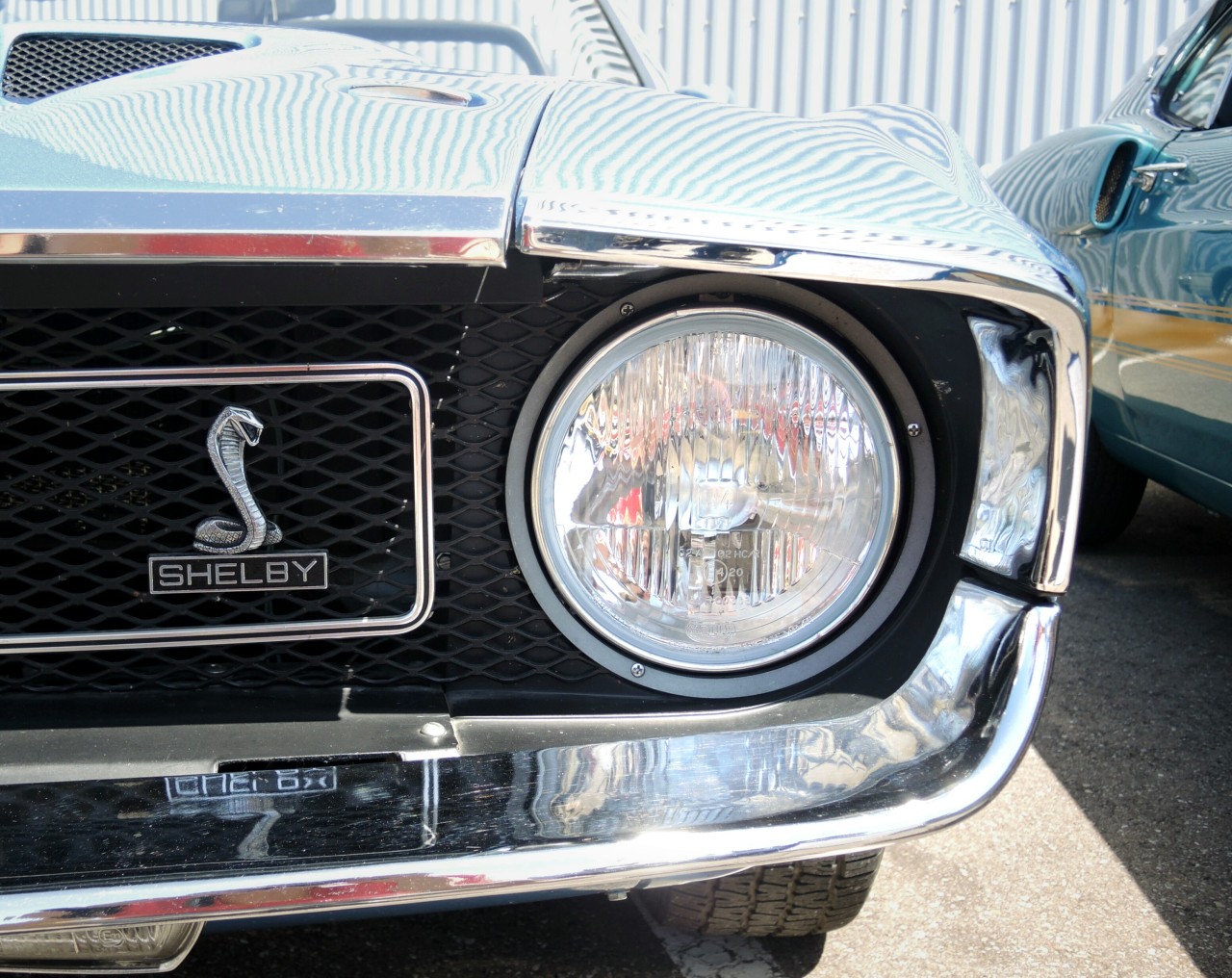 JUST THE COOLEST MUSTANGS