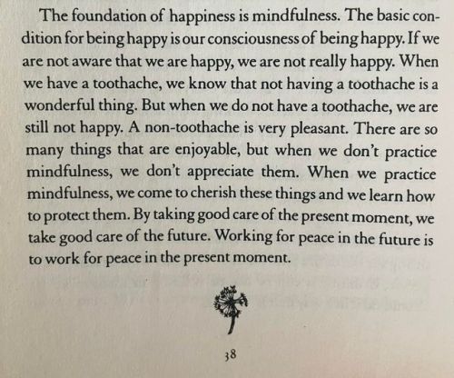 Teachings Of Thich Nhat Hanh From “Peace Is Every Step”: