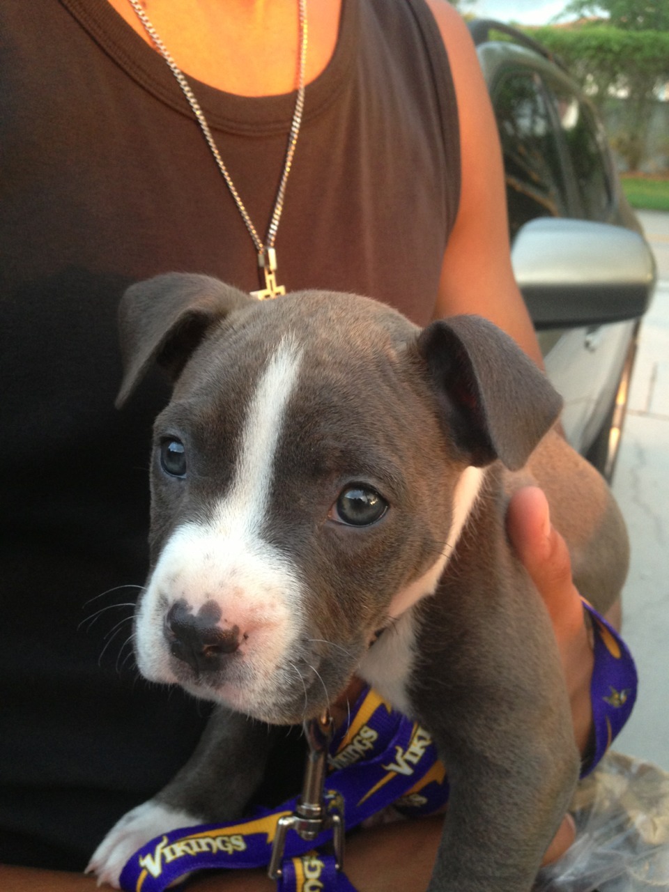 x0glitznglamour:  Is she not the cutest? 