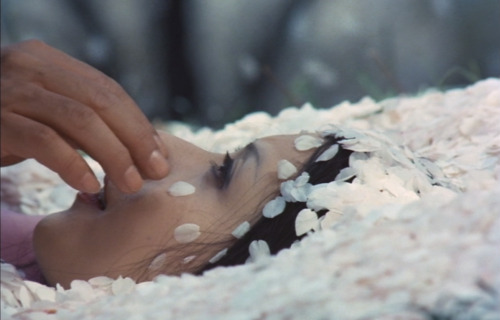 aozoramusume: Under the Blossoming Cherry Trees (Masahiro Shinoda, 1975)