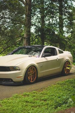 wearevanity:  Stanced Ford Mustang |Source   