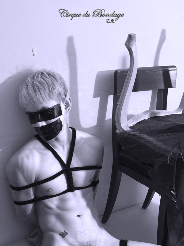 cirquebondage:  Credit to: Fabulous Model http://www.instagram.com/greendo Gifted