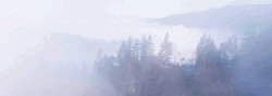 Thediaryoflaurapalmer:  Twin Peaks Now In Production. Coming To Showtime In 2017