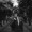 jonthanchristianfrye-deactivate:Gwen Singer