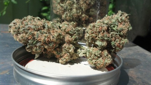 doobiedoobiepotheadstoneraward:  Chem dawg