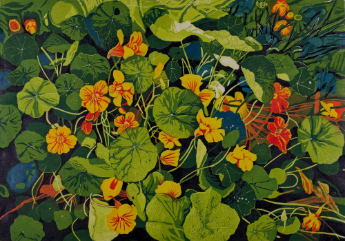 Indian Cress - Teija Lehto