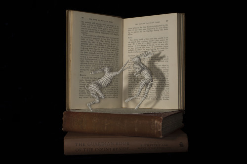 Boxing HaresWire, Wadding & Vintage BooksBook Sculpture by Emma TaylorFrom Within a Book…