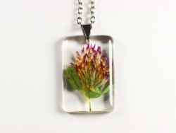 westernherbalism:  Moss of the Woods Botanical JewelryUnique jewelry for the avid nature nerd! At Moss of the Woods, we strive to create wearable art that celebrates the beauty and complexity of the natural world. Resin pendants with preserved botanical