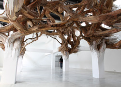 Play:  Baitogogo, A Twisted Entanglement Of Tree Branches That Appears To Grow Organically