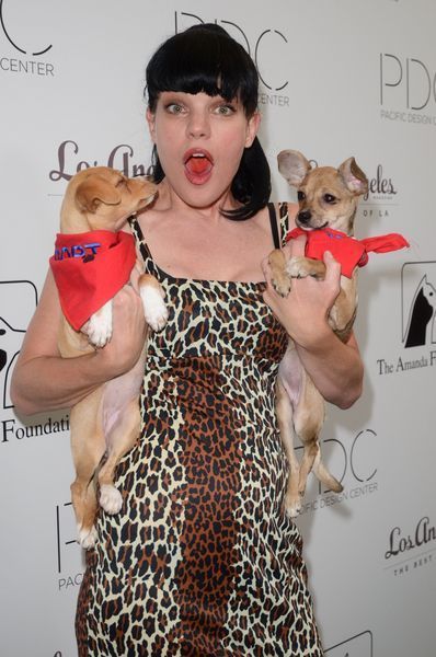 Pauley Perrette Boobs