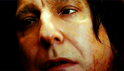 remusjohnslupin:    End? No, the journey doesn’t end here. Death is just another path… One that we all must take.   