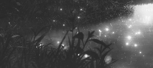 oriondiary:      ‘’Just take a breath,       let it all go,         &amp;