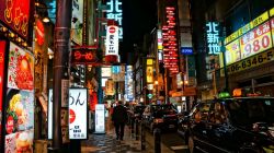 voulx:  Tokyo street at night 