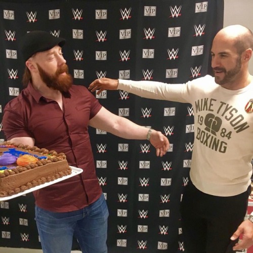 deidrelovessheamus:  Happy Birthday Cesaro may your wear this cake well…. as if I would😇😈