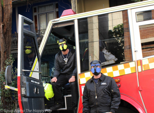 Few more pics of @secapup and I in our neoprene dog masks… Remember to support those who support our community Ping: @mrsleatherYou can check out the Neoprene Puppy Masks Here -> http://glink.me/neoprenehood