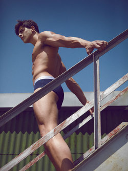 ledomsh:  Franky Cammarata by Skye Tan