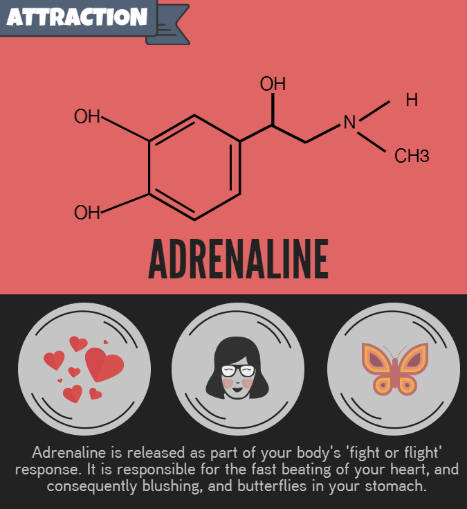 tobeagenius:  tobeagenius:  Your Brain In Love, more on @tobeagenius  happy valentines