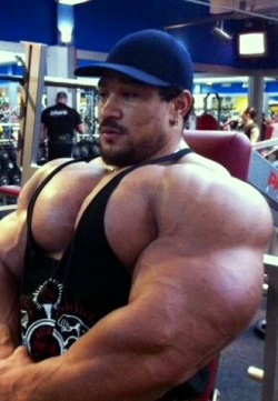 Roelly Winklaar