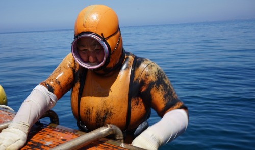 Diving with the last generation of Korea’s Mermaids“Haeynyos dive without oxygen tanks, plungi