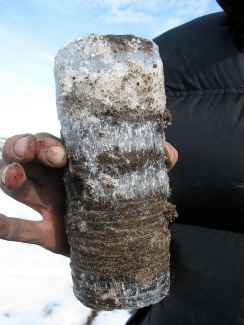 uafairbanks:Permafrost core sample.