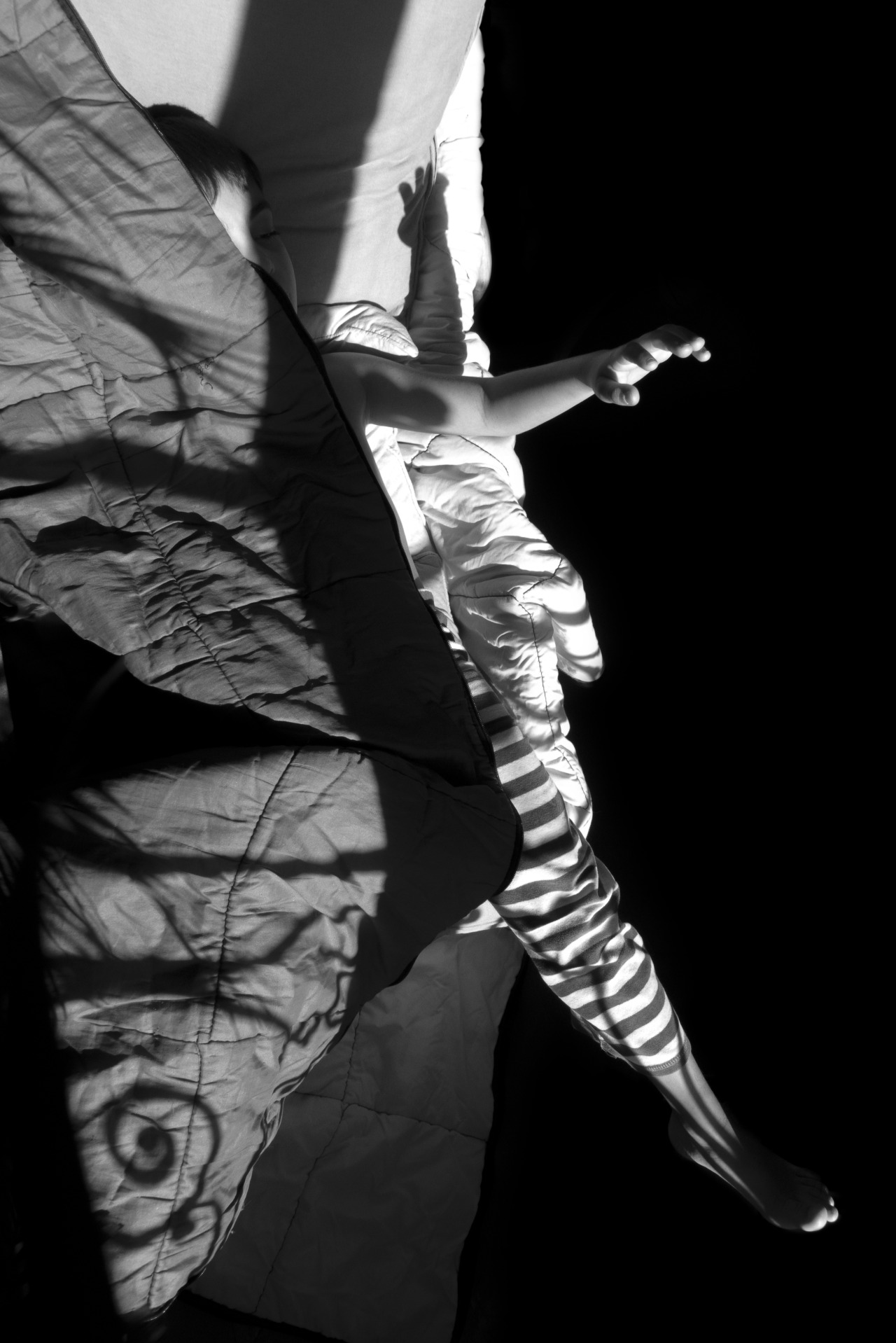 anata39:papillon