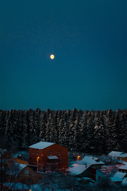 plasmatics:  Moon over the forest by Elena