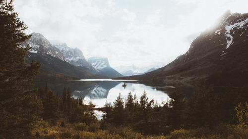 andrewtkearns:Wild Goose Island, GNP