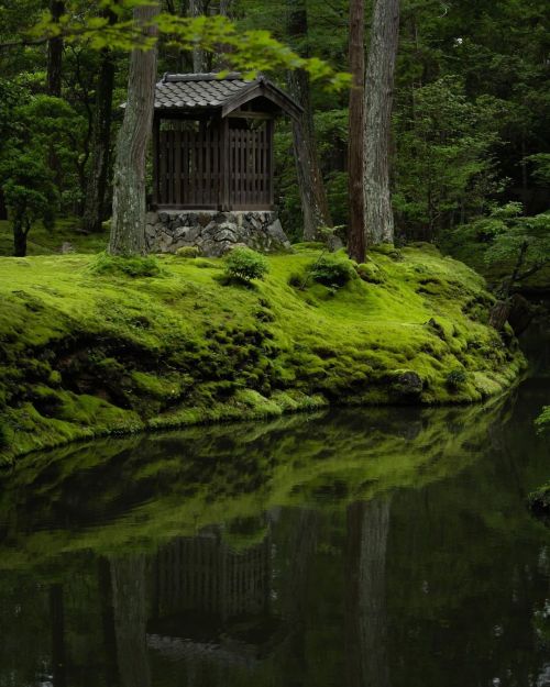 uroko:    西芳寺/苔庭 Saiho-ji Temple/Moss Garden 💚✨