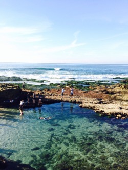 barrels-allday:  La jolla , California . 