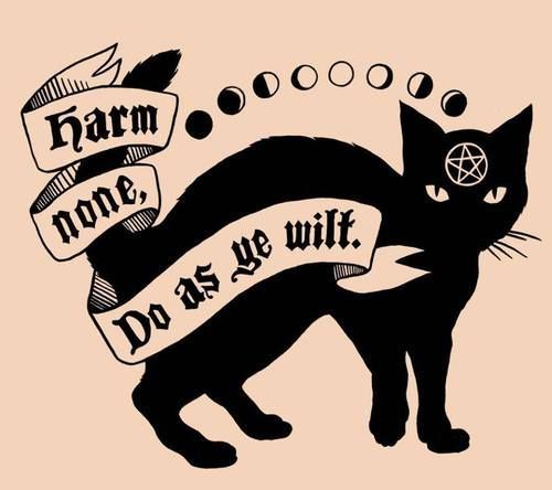 malikuna:cottoncandywitch24:especially cats. protect all cats!