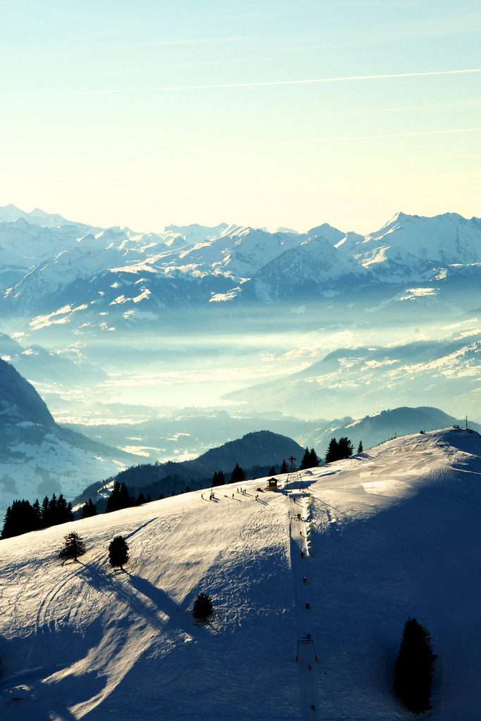 pleoros:  Zurich