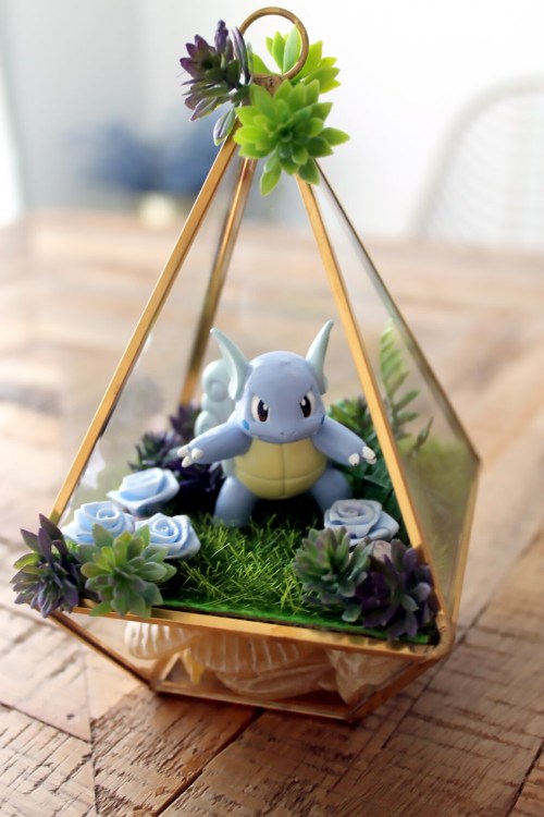 Pokemon Terrariums made by KawaiiBaka