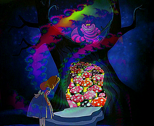 Third Eye DMT