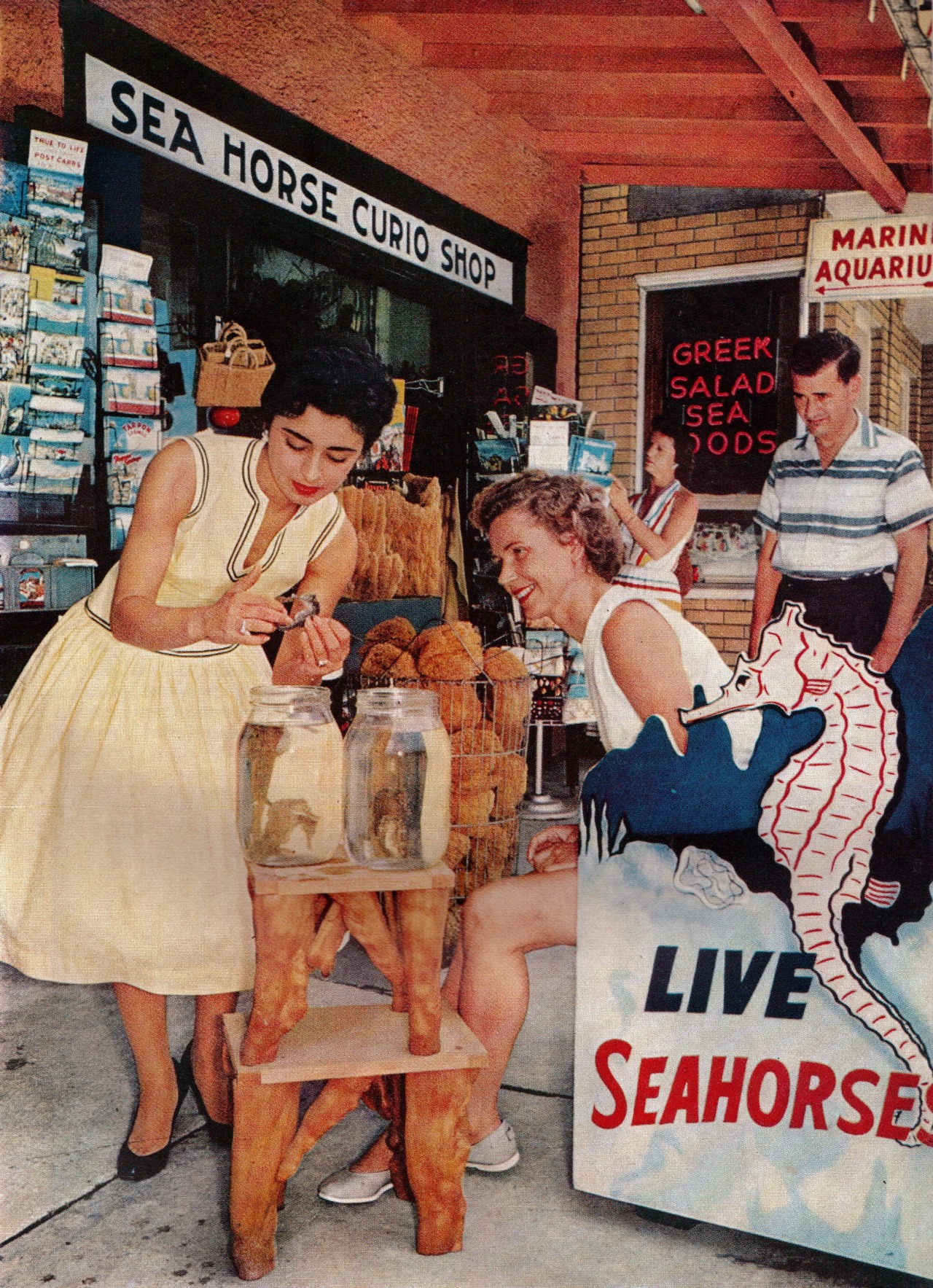 lemon-pledge-laverne:  Tarpon Springs, Florida  National Geographic January.1959