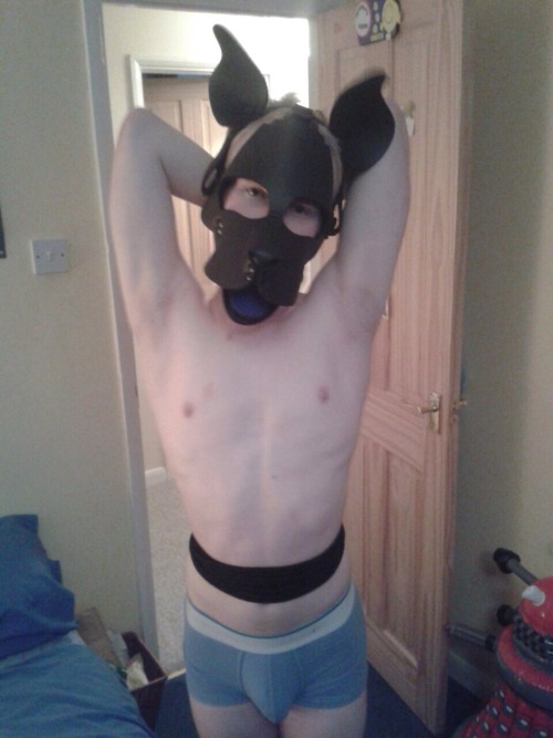 XXX pupalto:  Puppy got a little tied up tonight photo