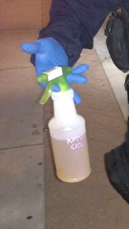 im-a-deceptikhan:beaky-peartree:the-anarcho-raver:Police confiscated vinegar used to neutralize pepp