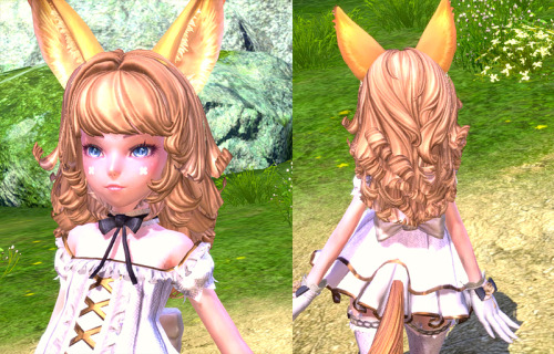 BnS Haircut ModAvailable for all elin haircuts except of short versions (eg with a backslot)This mod