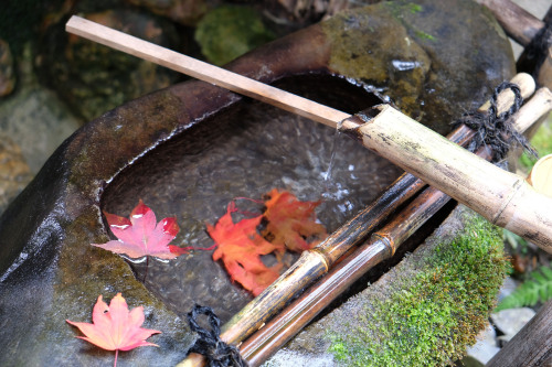 Zuiganzan Enkouji is the temple of Rinzai Zen Schools. You are able to practice Zen meditation. They