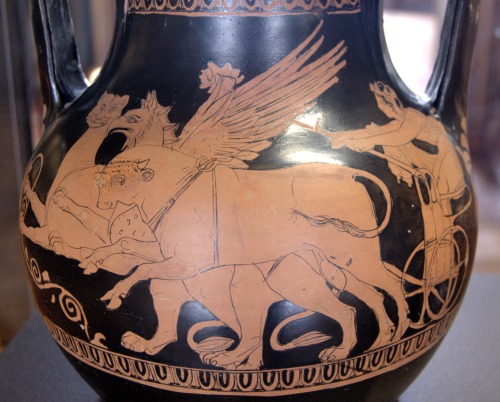 lionofchaeronea:Dionysus in his panther-drawn chariot.  Side A of an Attic red-figure pelike, attr. 