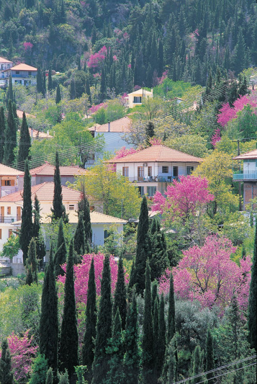 Karyá village, Lefkás, Greece by babzz