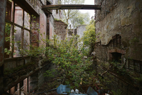 Poltalloch Houseabandoned Victorian mansion in Scotland, built around 1849 and left to fall into dis