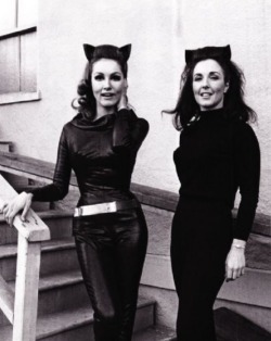 retrogirly:  loutigergirl99:Julie Newmar