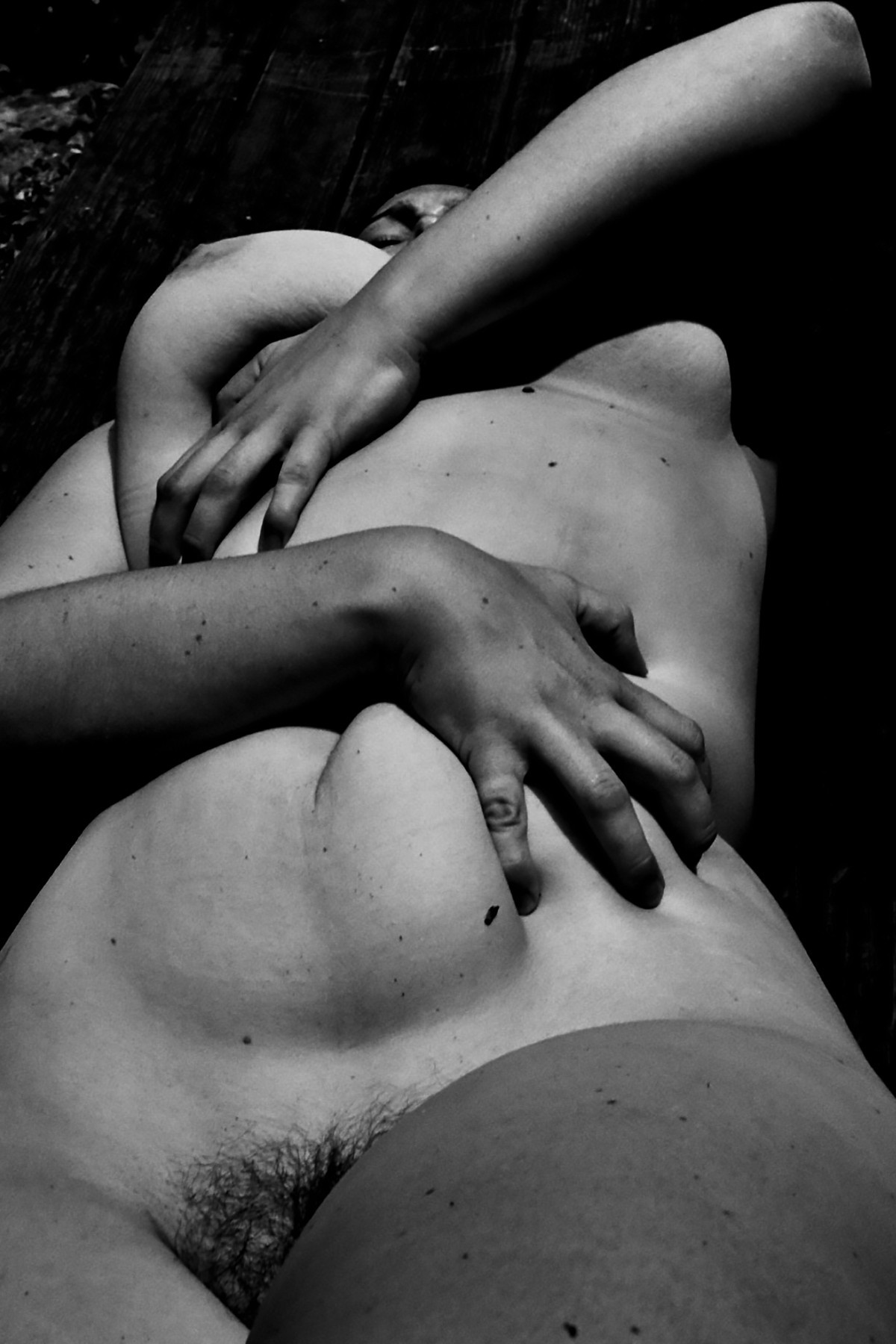 PLENITUDE PHOTOGRAPHY
