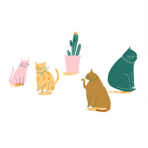 hannahdraws:  “Not that interested. Soz.” www.hannahwarren.com 