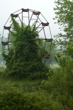 travelthisworld:  Abandoned Ferris Wheel