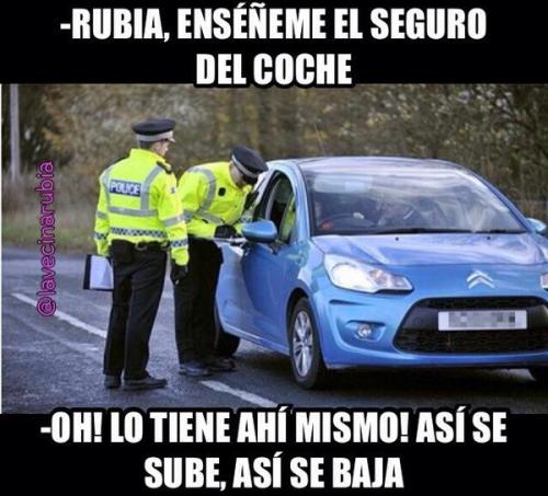 vejiga:     
