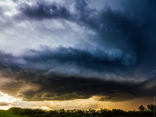 this year I’ve seen more LP elevated super cells, which are my absolute favorite, in one year 