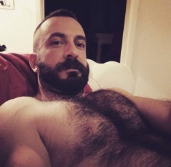 Follow my two hairy men blogs:http://sambrcln.tumblr.comhttp://hairysex.tumblr.com