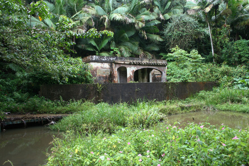 orbitalpavilion:the old Pool House in El Yunque, Puerto Rico